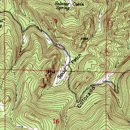 Topographic Map of Spud Patch, NM