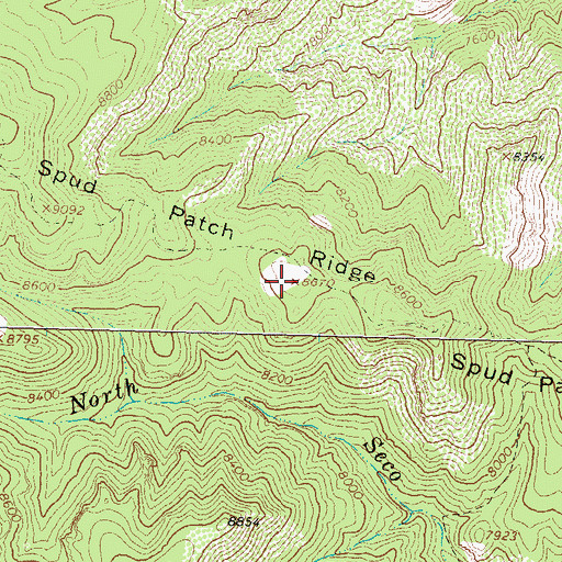 Topographic Map of Spud Patch Ridge, NM