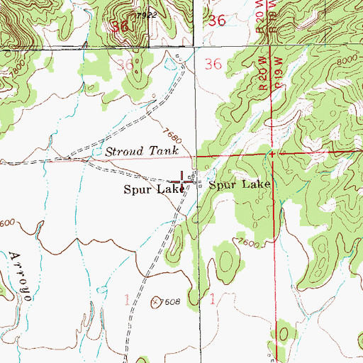 Topographic Map of Spur Lake, NM