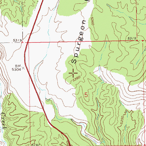 Topographic Map of Spurgeon Mesa, NM