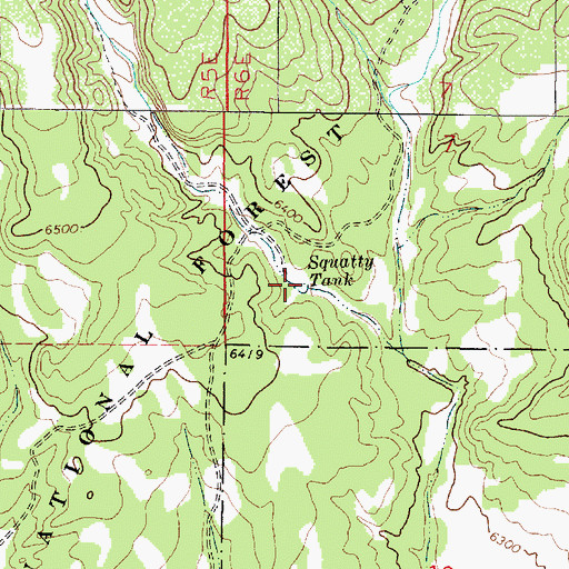 Topographic Map of Squatty Tank, NM