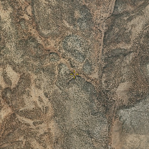 Aerial/Satellite Image of Squatty Tank, NM