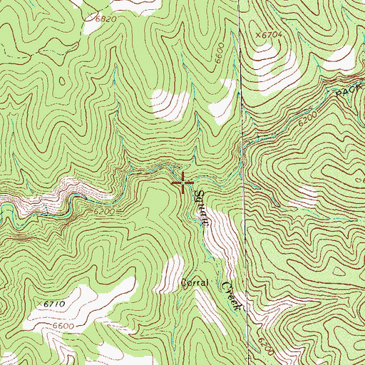 Topographic Map of Squaw Creek, NM