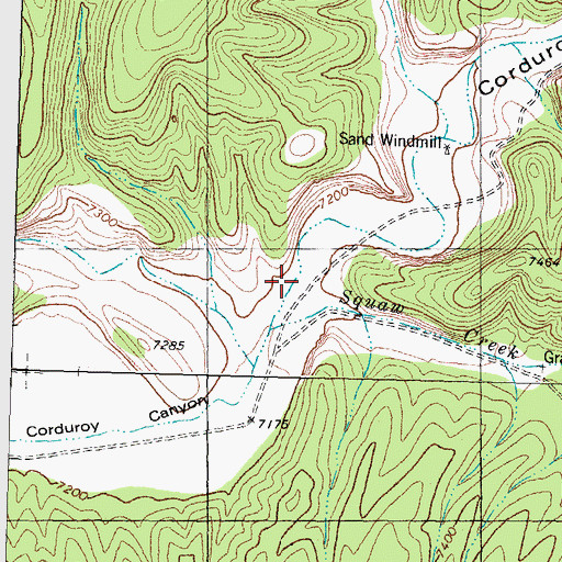 Topographic Map of Squaw Creek, NM