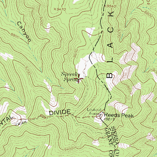 Topographic Map of Squeaky Spring, NM