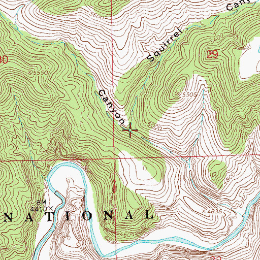 Topographic Map of Squirrel Canyon, NM