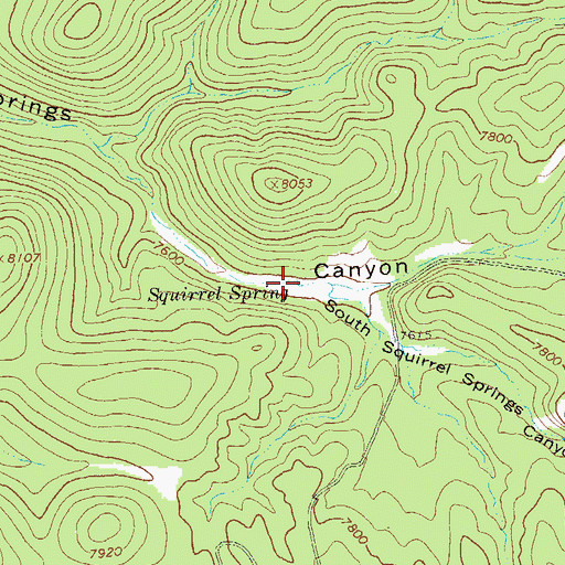 Topographic Map of Squirrel Spring, NM
