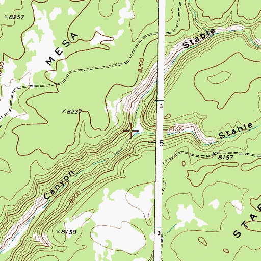 Topographic Map of Stable Canyon Fork, NM