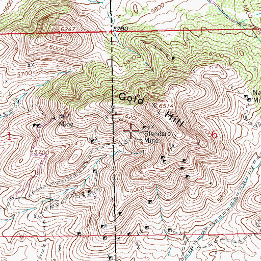 Topographic Map of Standard Mine, NM