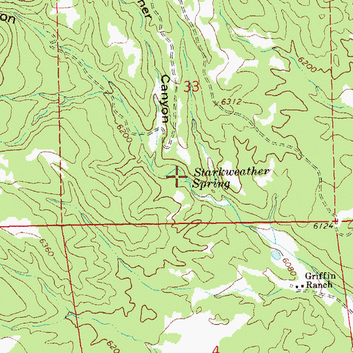 Topographic Map of Starkweather Spring, NM