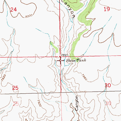 Topographic Map of Steve Tank, NM