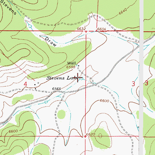 Topographic Map of Stevens Lake, NM