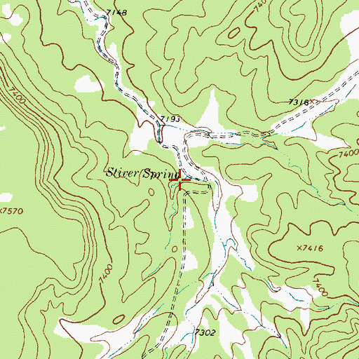 Topographic Map of Stiver Spring, NM