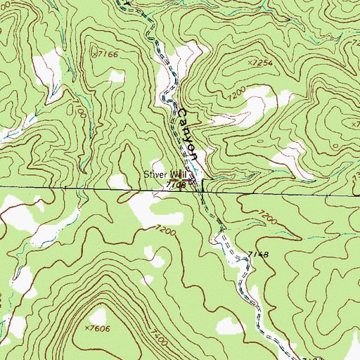 Topographic Map of Stiver Well, NM