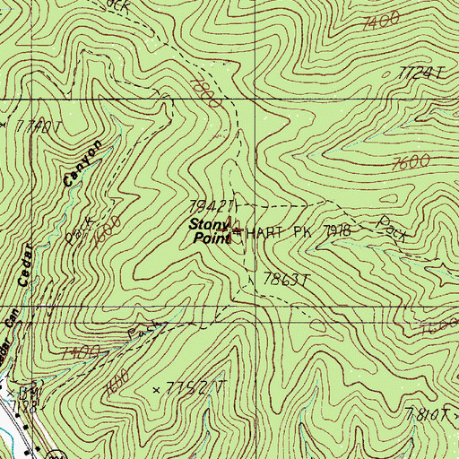Topographic Map of Stony Point, NM