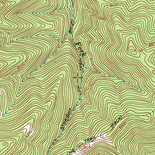 Topographic Map of Straight Up Trail, NM