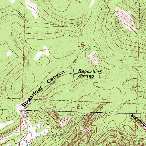 Topographic Map of Sugarloaf Spring, NM