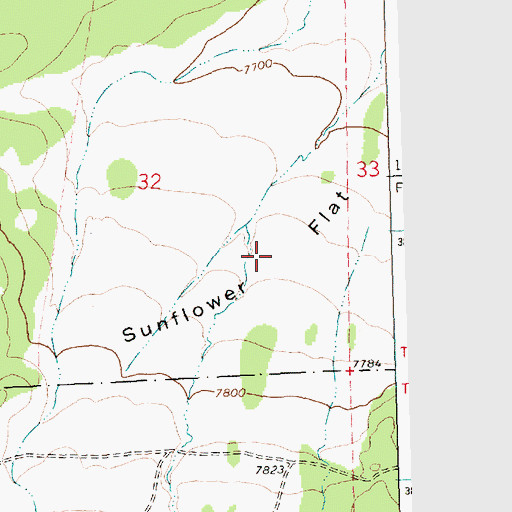 Topographic Map of Sunflower Flat, NM