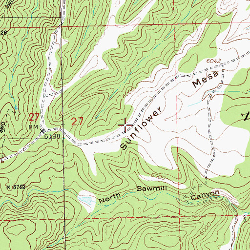 Topographic Map of Sunflower Mesa, NM