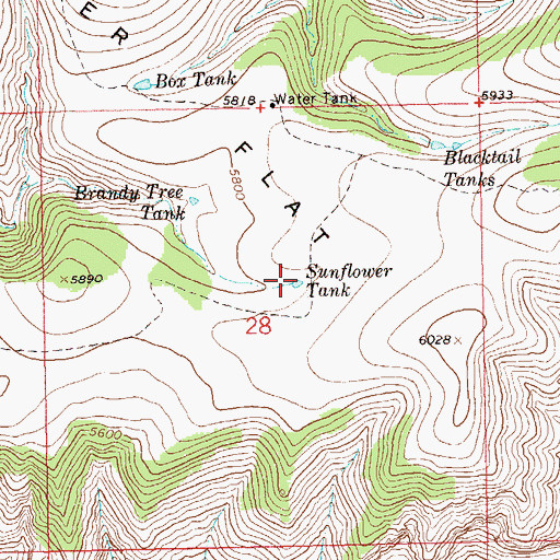 Topographic Map of Sunflower Tank, NM