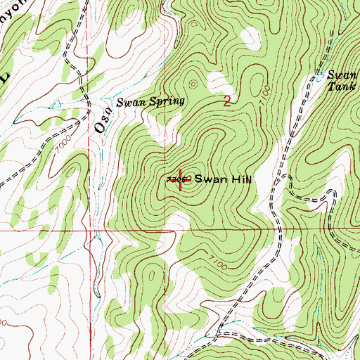 Topographic Map of Swan Hill, NM