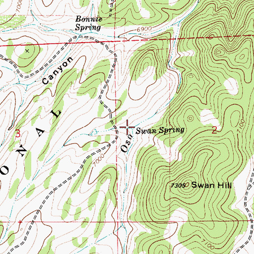 Topographic Map of Swan Spring, NM