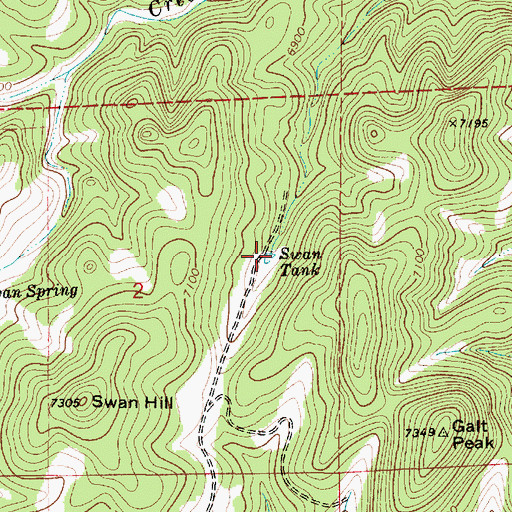Topographic Map of Swan Tank, NM
