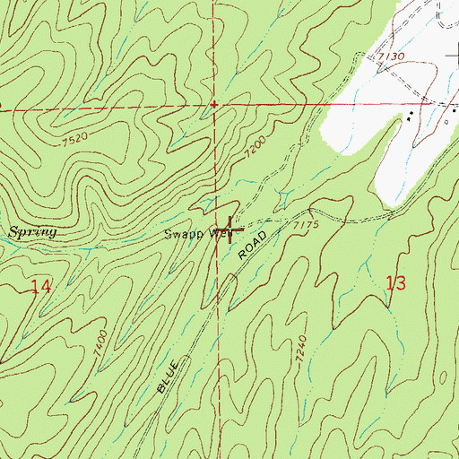 Topographic Map of Swapp Well, NM