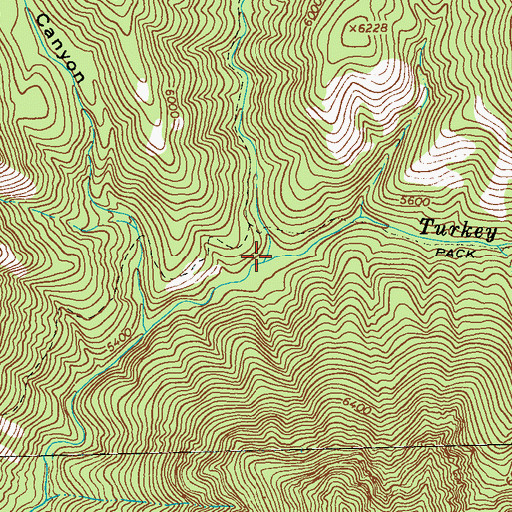 Topographic Map of Sycamore Canyon, NM