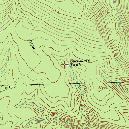 Topographic Map of Sycamore Tank, NM