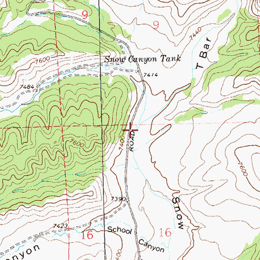 Topographic Map of T Bar Canyon, NM