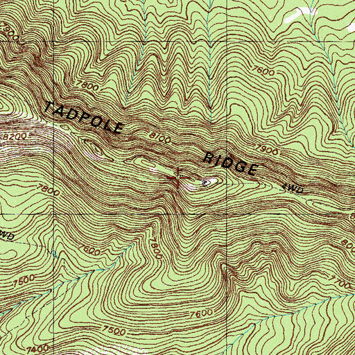Topographic Map of Tadpole Ridge, NM