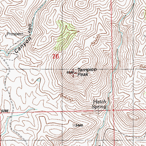Topographic Map of Tampico Peak, NM