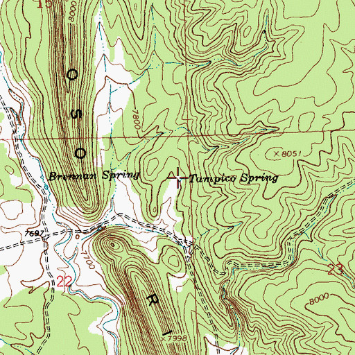 Topographic Map of Tampico Spring, NM