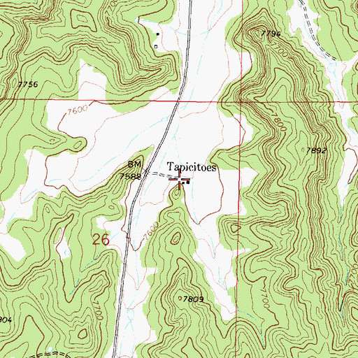 Topographic Map of Tapicitoes, NM