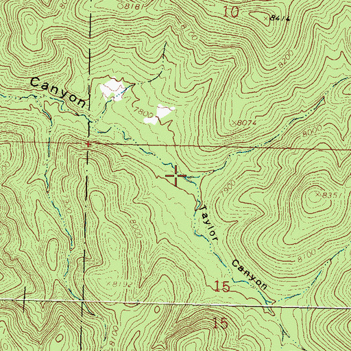 Topographic Map of Taylor Canyon, NM