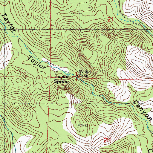 Topographic Map of Taylor Spring, NM