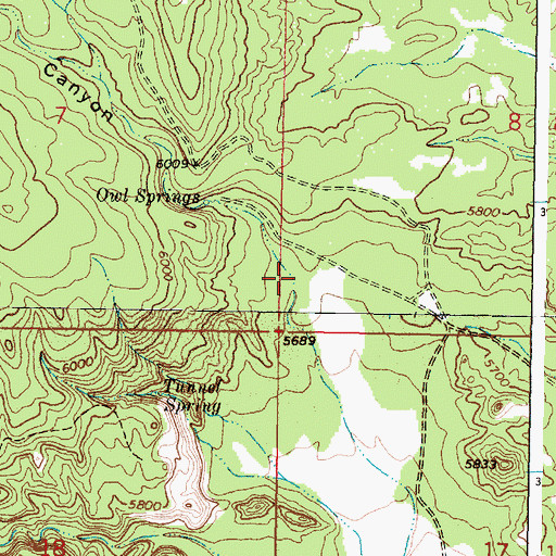 Topographic Map of Tecolote Canyon, NM