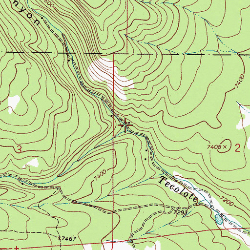 Topographic Map of Tecolote Canyon, NM