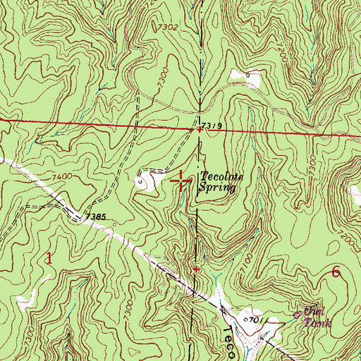 Topographic Map of Tecolote Spring, NM