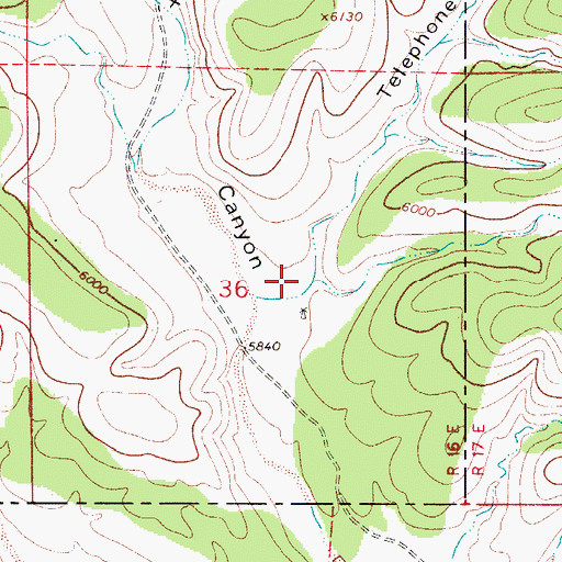 Topographic Map of Telephone Canyon, NM