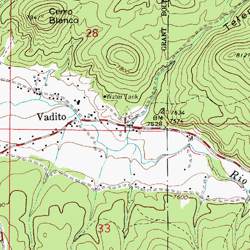 Topographic Map of Telephone Canyon, NM