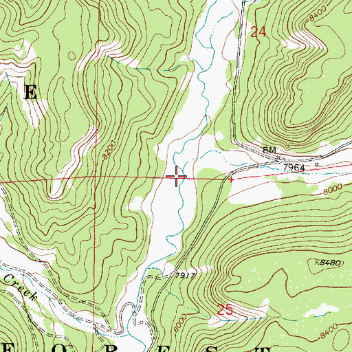 Topographic Map of Telephone Canyon, NM