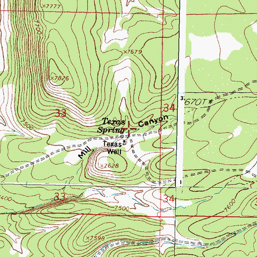 Topographic Map of Texas Spring, NM