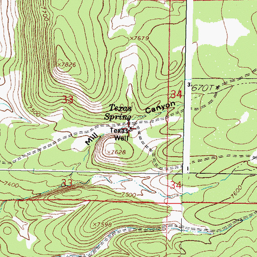 Topographic Map of Texas Well, NM