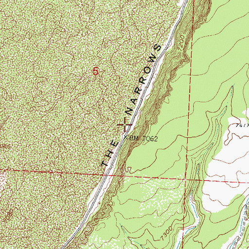 Topographic Map of The Narrows, NM
