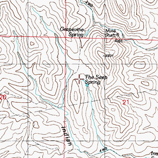 Topographic Map of The Seep Spring, NM