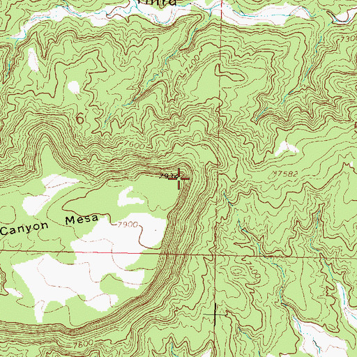 Topographic Map of Third Canyon Mesa, NM