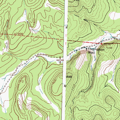 Topographic Map of Thompson Canyon, NM