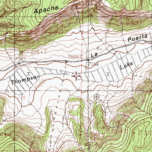 Topographic Map of Thompson Lake, NM